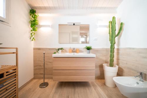 ein Badezimmer mit einem Waschbecken und einem Kaktus in der Unterkunft AbbaNive in Mamoiada