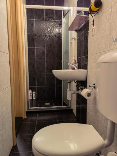 a bathroom with a toilet and a sink at Lovely Bosnian Home in Mostar
