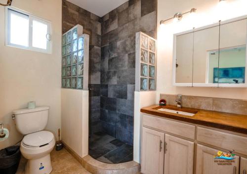 a bathroom with a shower and a toilet and a sink at Casa Desert Rose in Playa Hawaii