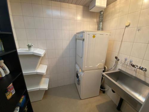 uma pequena cozinha com um lavatório e um frigorífico em LakeVIEW Penthouse in the heart of Switzerland em Sempach