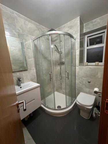 La salle de bains est pourvue d'une douche, de toilettes et d'un lavabo. dans l'établissement Luxury Flat, à Londres