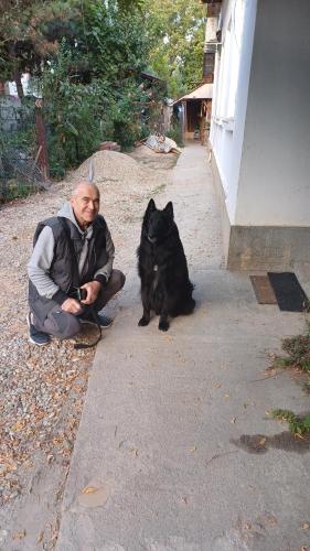 a man sitting on the ground next to a black dog at Casa Mocanu in Giurgiu