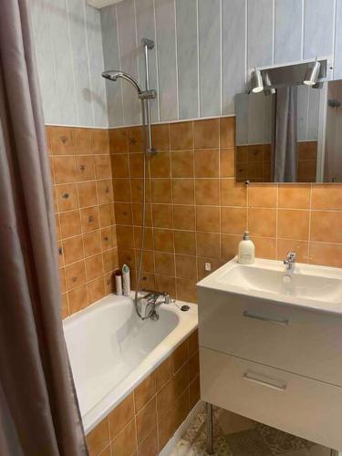 une salle de bain avec une baignoire et un lavabo et une baignoire dans l'établissement Studio vue sur Montagnes, à Laruns