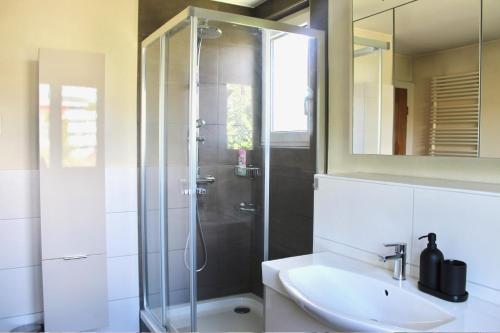 a bathroom with a shower and a sink at Swiss Tranquility Suites in Aarau