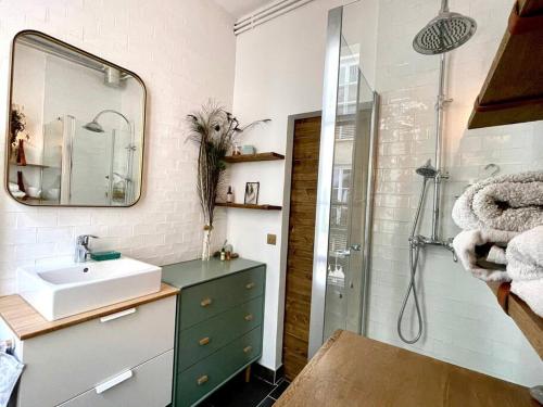 une salle de bain avec un lavabo et une douche avec un miroir dans l'établissement Brand new Flat in Paris, à Paris