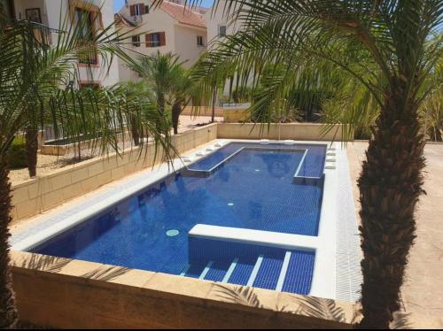 uma piscina com uma palmeira em frente a um edifício em Apartamento Alfaz Del Sol em L'Alfàs del Pi