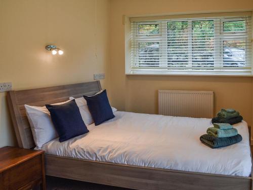 a bedroom with a bed with blue pillows and a window at Janvalyn in Tregarth