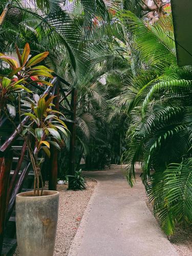 Zahrada ubytování Pacha Tulum Boutique Hotel