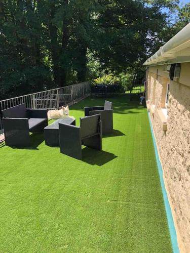 a cat laying on a bench on the grass at Beautiful renovated former coach house in Llandeilo