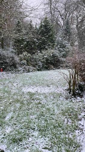 a snow covered field with grass and trees at Beautiful renovated former coach house in Llandeilo