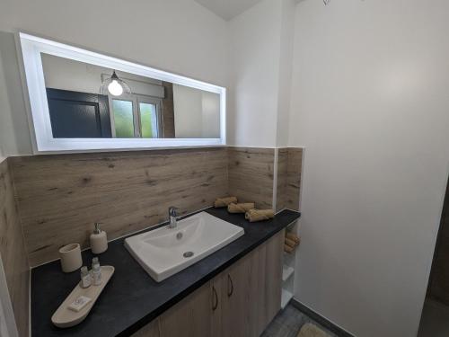 ein Bad mit einem Waschbecken und einem Spiegel in der Unterkunft Gîte Curel, 3 pièces, 4 personnes - FR-1-611-92 