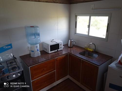 cocina con encimera, microondas y fregadero en Carabanchel casa de campo, en Canepa