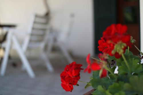 Gambar di galeri bagi B&B Casale Spisari di Galatone