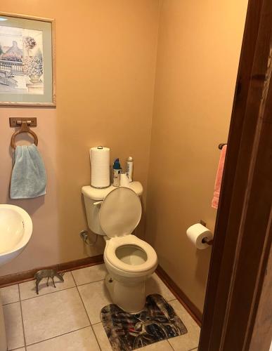 ein Bad mit einem WC und einem Waschbecken in der Unterkunft Deer Run Villa in Columbus