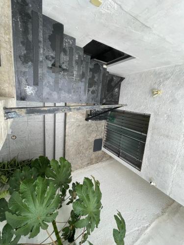 a room with a window and a plant at Casa y departamentos lavanda in Mérida