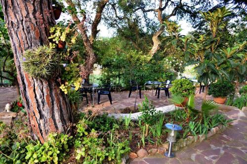 Φωτογραφία από το άλμπουμ του Hostal Magnolia στο Λορέτ Ντε Μαρ