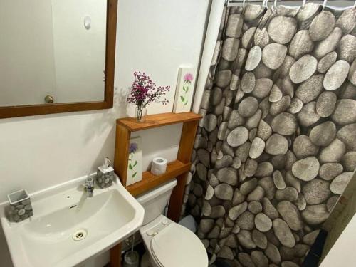a bathroom with a rock shower curtain and a sink at Linda Casa en Carretera Austral in La Junta
