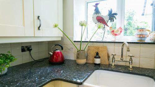 een aanrecht met een wastafel en een vaas met bloemen bij Tir a Mor in Nefyn