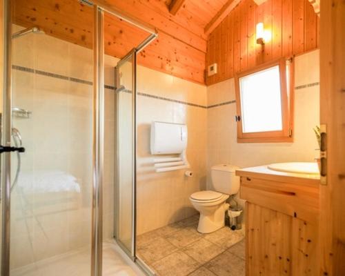 une salle de bain avec une douche, des toilettes et un lavabo dans l'établissement Chalet Nicole, à La Côte dʼArbroz
