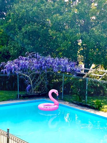 a pink swan float in a pool with purple flowers at Mission Retreat in Kerikeri