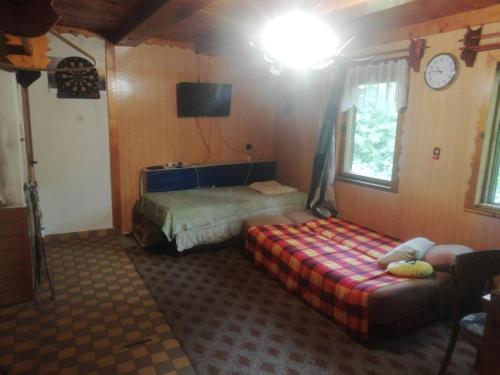 的住宿－Chata Lužná u Hanušovic，一间卧室配有一张床、一张沙发和一个时钟