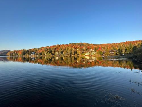 a large body of water with trees in the background at Tremblant chalet O-Spa in Lac-Superieur