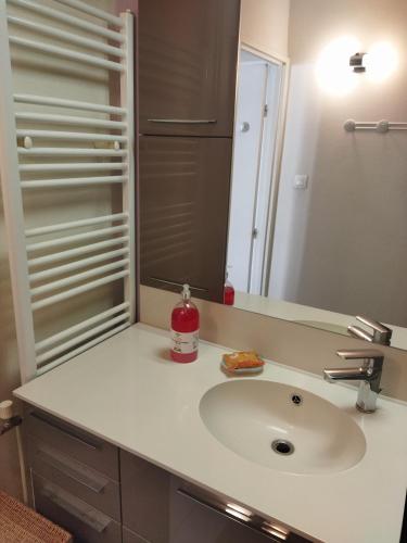 une salle de bain avec un lavabo et un miroir dans l'établissement Le Puy de Dôme, à Clermont-Ferrand