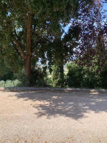 a shady area with trees in the middle of a park at Borgo Eva in Assisi