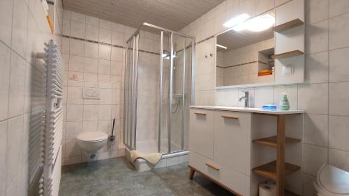 uma casa de banho com um chuveiro, um lavatório e um WC. em Ferienwohnung Lang em Breitenbrunn