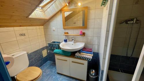 Poullaouen的住宿－Chambres Les Tilleuls，一间带水槽和卫生间的小浴室
