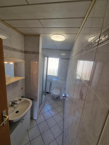 a bathroom with a sink and a shower and a toilet at Ferienwohnung Kühnel in Zell im Fichtelgebirge