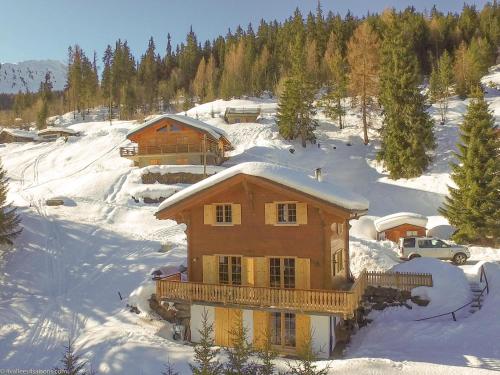 a house on a snowy hill with a snow covered yard at Chalet les Bubus in La Tzoumaz