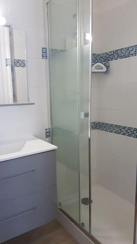une salle de bain avec une douche en verre et un lavabo dans l'établissement Charmant Studio en centre-ville de Luchon, à Luchon