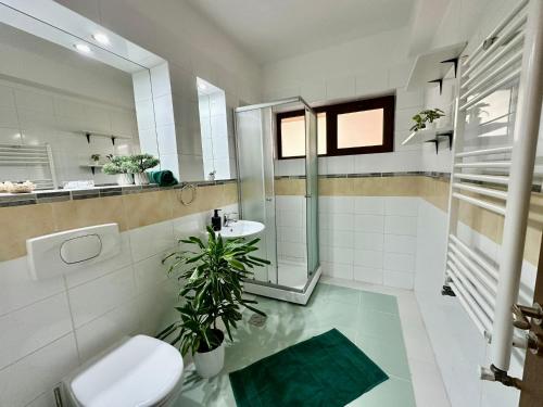 a bathroom with a toilet and a sink at Apartament Novara 17 in Craiova