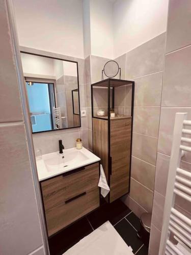 une salle de bain avec un lavabo et un miroir dans l'établissement Magnifique T2 Lumineux 3 étoiles - Centre Aix les Bains, à Aix-les-Bains