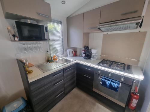 Jolie Mobil home 2 chambres (487)