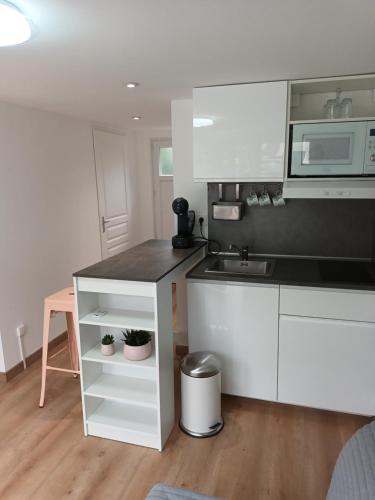 une cuisine avec des armoires blanches, un évier et un micro-ondes dans l'établissement Charmant studio sur Orsay, à Orsay