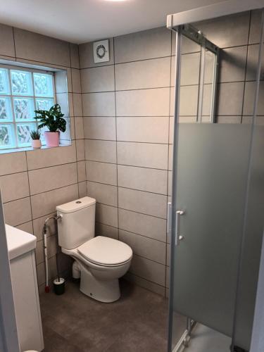 une salle de bain avec toilettes et fenêtre dans l'établissement Charmant studio sur Orsay, à Orsay