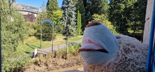 a stuffed animal is looking out of a window at Hotel ChezJeanne in La Bourboule