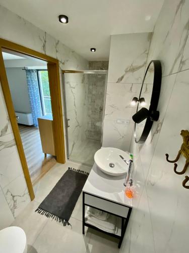 a bathroom with a sink and a mirror at Stara Plebania in Ponice