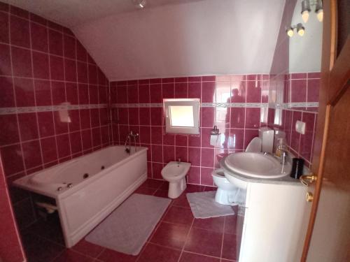 a bathroom with a tub and a toilet and a sink at Casa Larisa in Vişeu de Sus