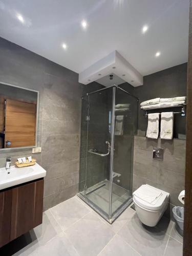 a bathroom with a shower and a toilet and a sink at Jasmine Pyramids Hotel in Cairo