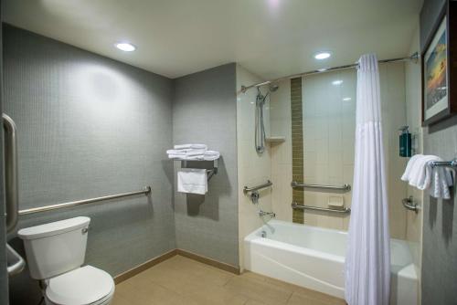 a bathroom with a toilet and a tub and a shower at DoubleTree by Hilton Asheville Downtown in Asheville
