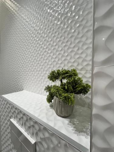 a potted plant sitting on a white shelf at Enzo rooms & apartment Blloku in Tirana