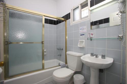 a bathroom with a toilet and a sink and a shower at Dolphin Hotel in Skopelos Town