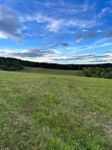 a field of grass with trees in the background at Chalet Látky in Látky