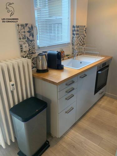 uma pequena cozinha com um balcão e um lavatório em Les chambres du Graoully - Le 136 - Metz Queuleu - Place de parking intérieur em Metz