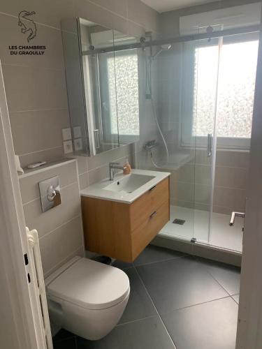 a bathroom with a toilet and a sink and a shower at Les chambres du Graoully - Le 136 - Metz Queuleu - Place de parking intérieur in Metz
