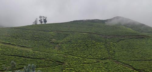 Gallery image of HILL BIRD HERITAGE HOME Stay in Ooty