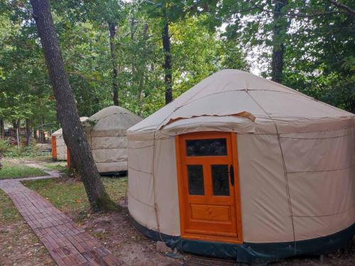 una yurta con porta in legno nel bosco di Kincs Apartman és Jurtaszállás a Dobogókő
